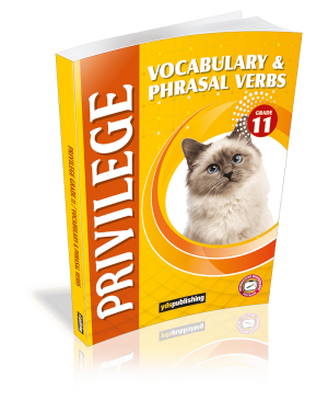 Vocabulary & Phrasal Verbs- Privilege Grade 11