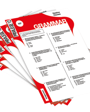 Grammar Worksheets – Privilege Grade 12