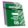 Mini Practice Tests – Impact Grade 12