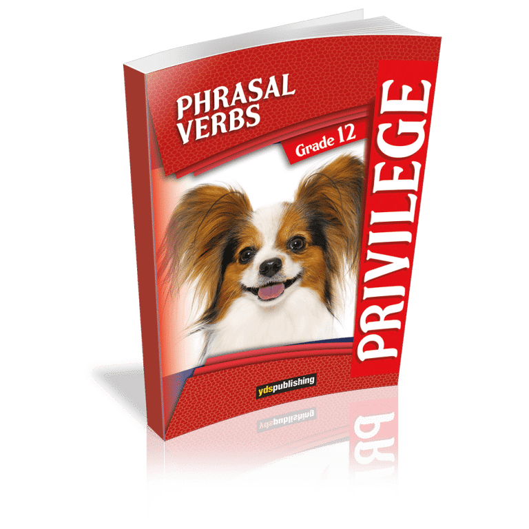 Phrasal Verbs – Privilege Grade 12