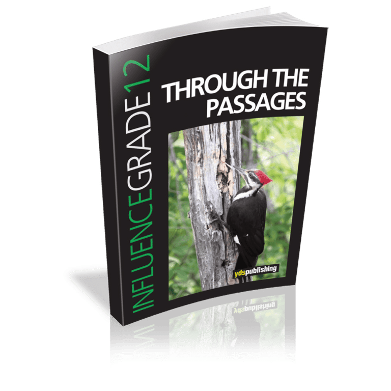 Through The Passages – Influence Grade 12